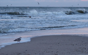 Nordseestrand_04_338x210.jpg