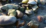 Steine_Details_01_338x210_72dpi.jpg